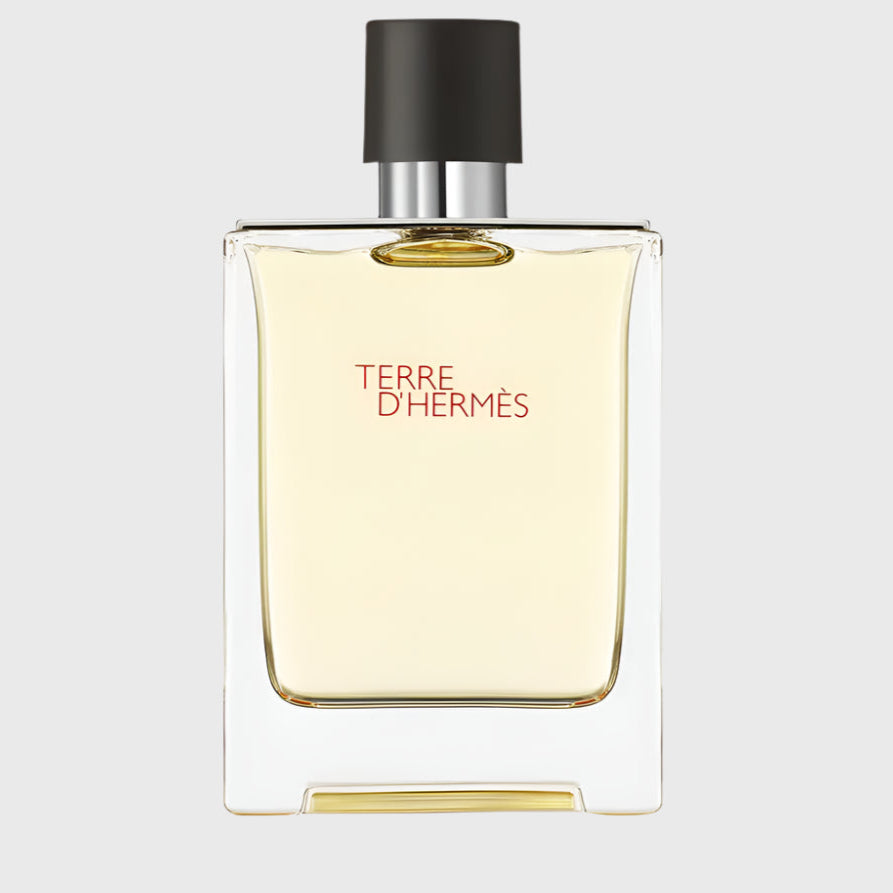 Hermès Terre d'Hermès Eau de Toilette 100ml Spray