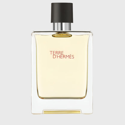 Hermès Terre d'Hermès Eau de Toilette 100ml Spray
