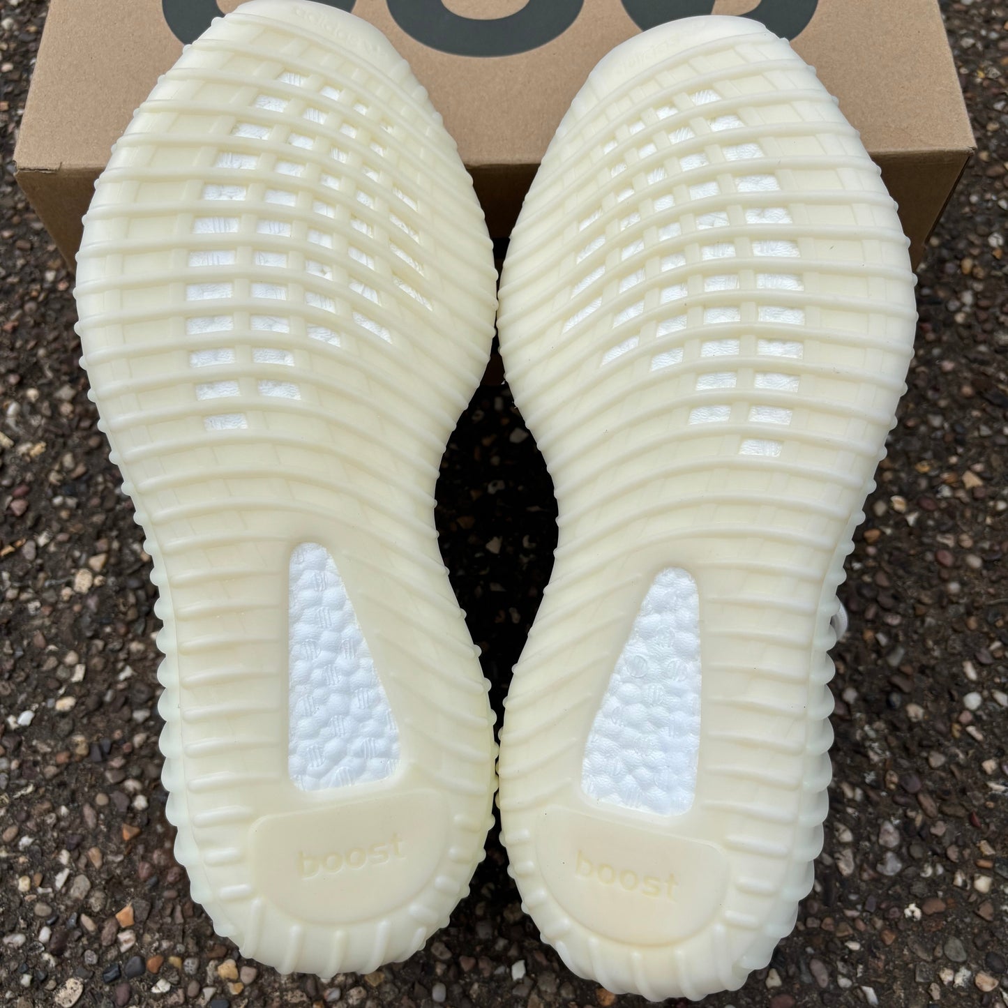 Yeezy Boost 350 V2 Bone